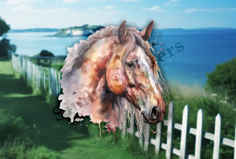 Brown horse , head, watercolour, phhkxo