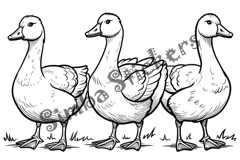 Colouring pages, bundle of geese, multiple, 10 images