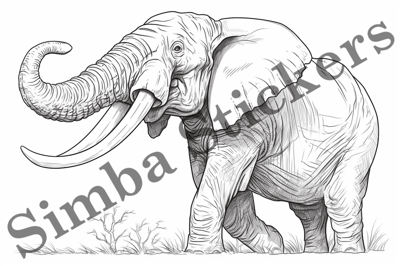 Colouring pages, Bundle of elephants, 25 images