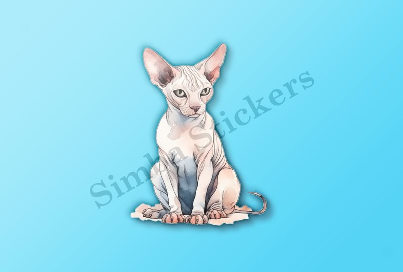 Sphynx cat sitting, watercolour