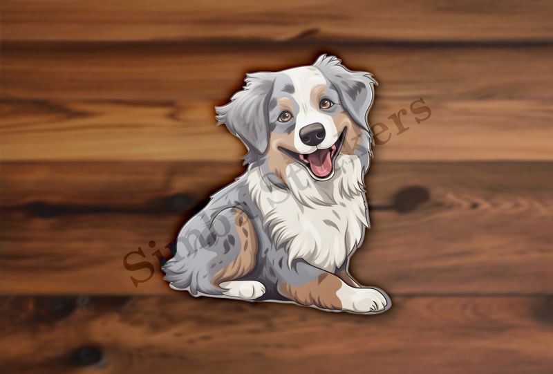 Australian Shepherd dog