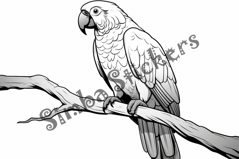Colouring pages, bundle of parrots, 25 images