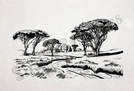 African Savanna landscape, stream in foreground, outline art