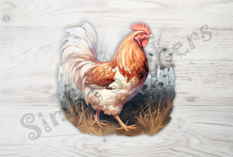Elegant white red and brown chicken