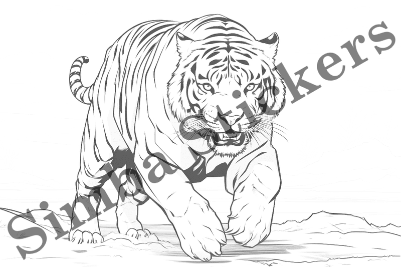 Colouring pages, bundle of tigers, 10 images