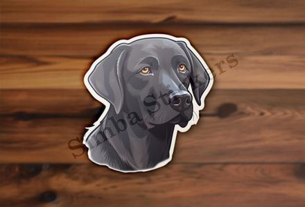 Black labrador dog face