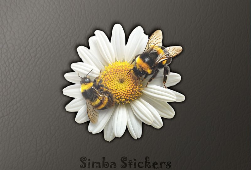 Bees at either end of a daisy flower