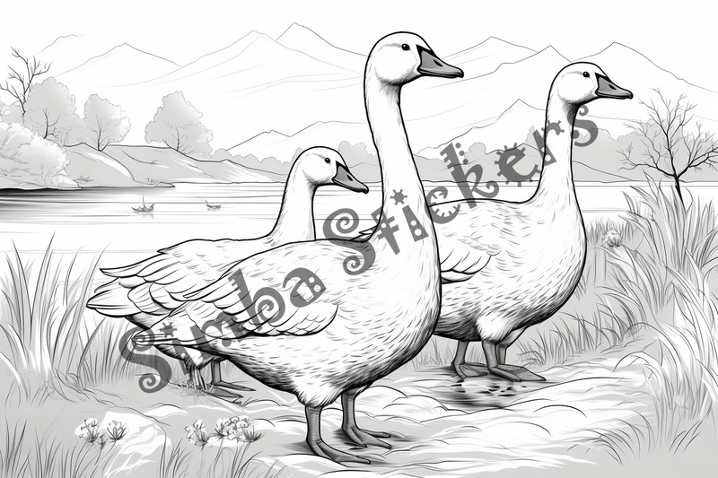 Colouring pages, bundle of geese, 25 images