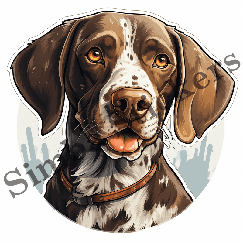 German Shorthaired Pointer dogs, image set, 10 images