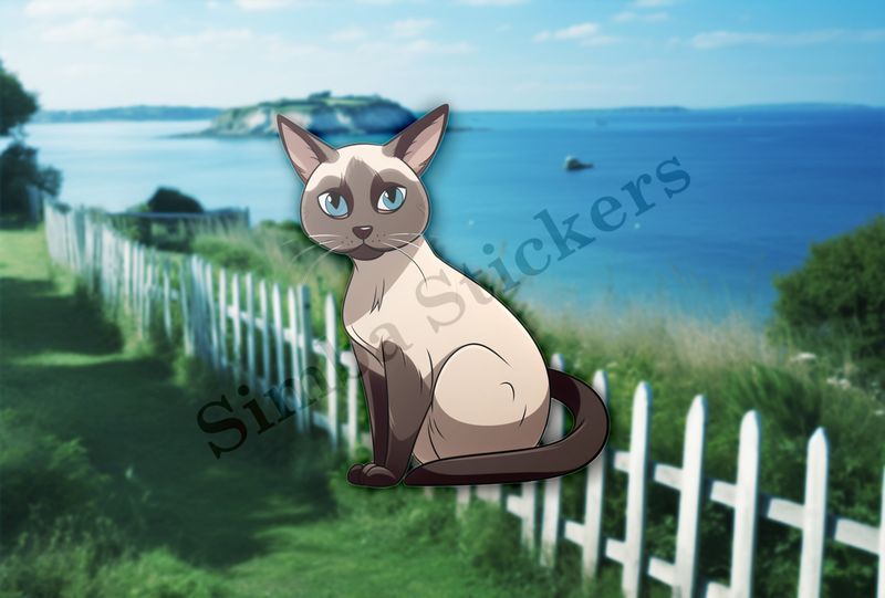 Siamese cat sitting