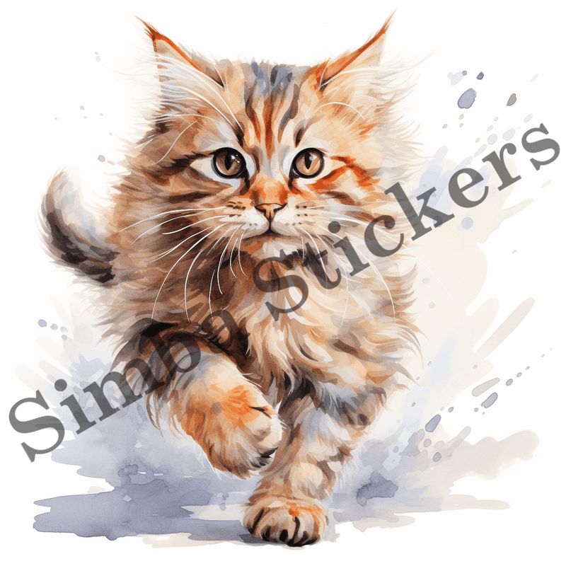 Cats running image set, 10 images