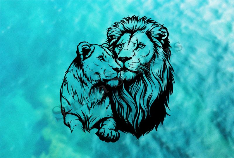 Affectionate lioness leaning into lion, cuddling, outline art