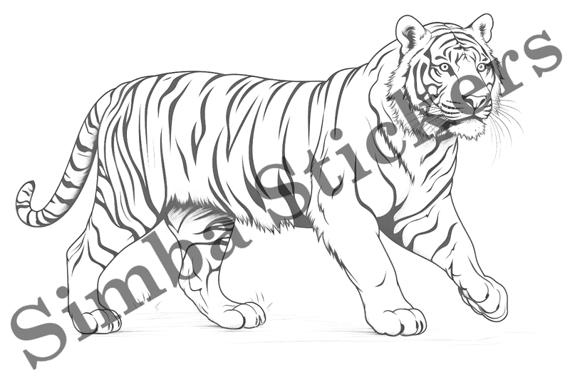 Colouring pages, bundle of tigers, 10 images