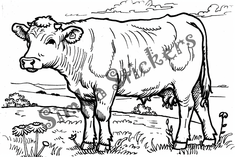 Colouring pages, bundle of cattle, 50 images