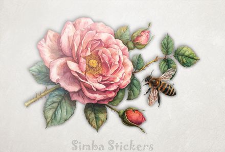 Bee buzzing around a rose flower