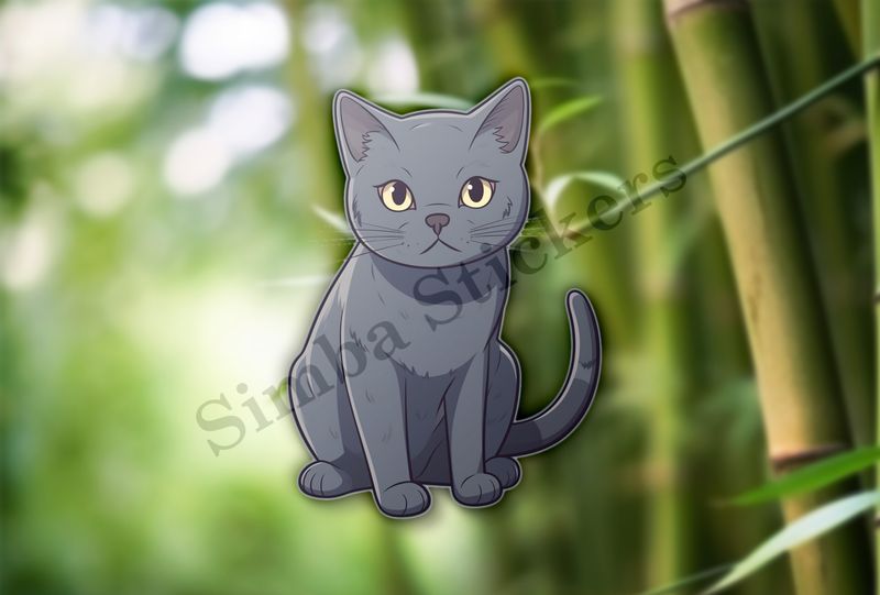 Russian blue cat