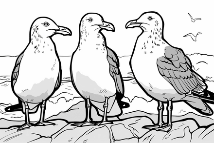 Colouring pages, bundle of seagulls, 25 images