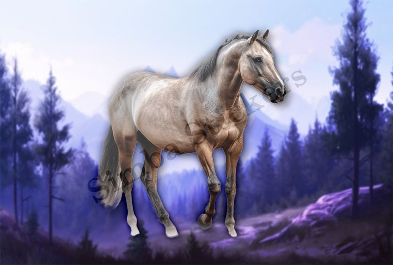 Brown horse , partial side view, tzqrfd