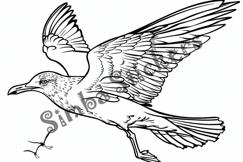 Colouring pages, bundle of seagulls 3, 25 images