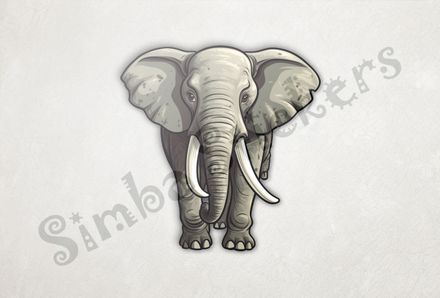 Elephant walking, directly from the front