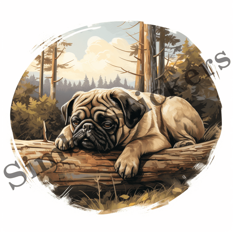 Pug dogs sleeping, image set, 10 images