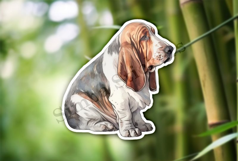 Basset Hound dog, watercolour