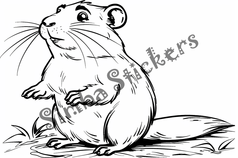 Colouring pages, bundle of groundhogs, 25 images
