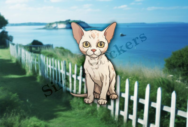 Devon Rex cat sitting