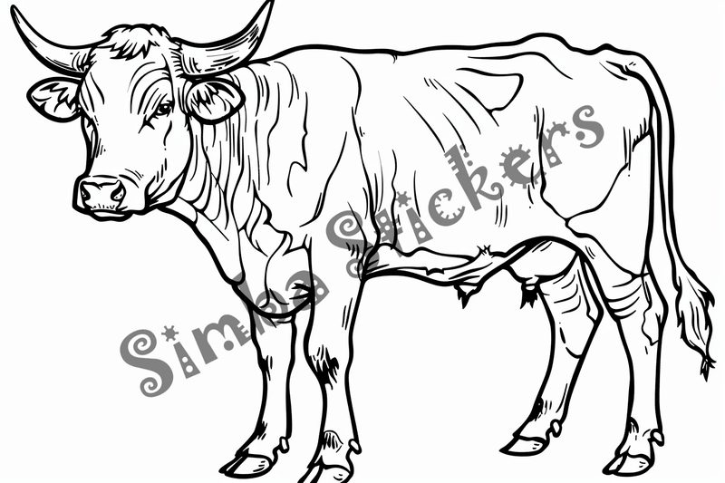 Colouring pages, bundle of cattle bulls, 10 images