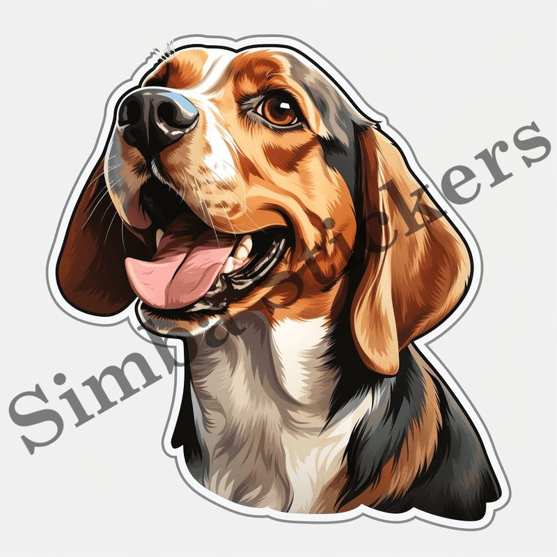 Beagle dogs, image set, 10 images