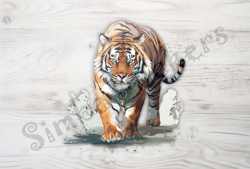 Tiger walking majestically with focused gaze