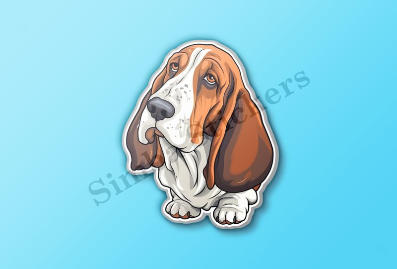 Basset Hound dog