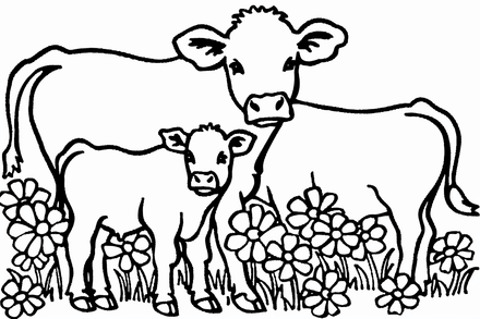 Colouring pages, bundle of cattle, 50 images
