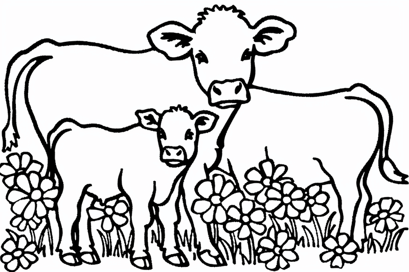Colouring pages, bundle of cattle, 50 images