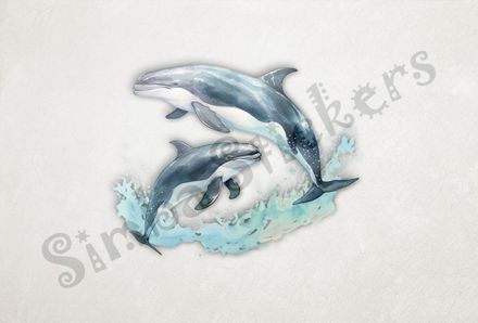 Whales leaping out of water synchronously