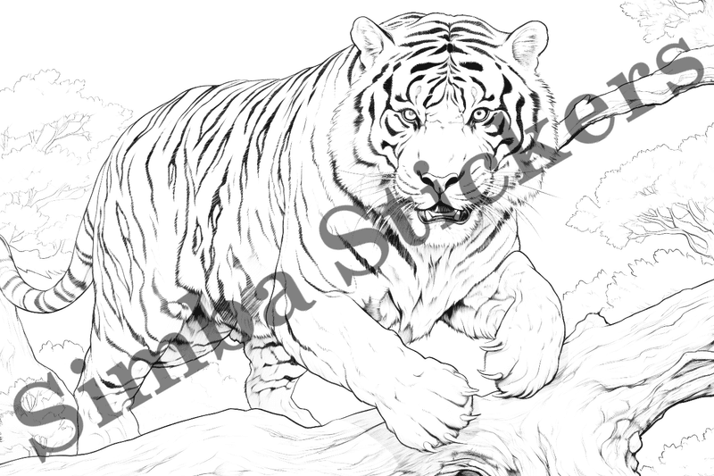 Colouring pages, bundle of tigers, 10 images