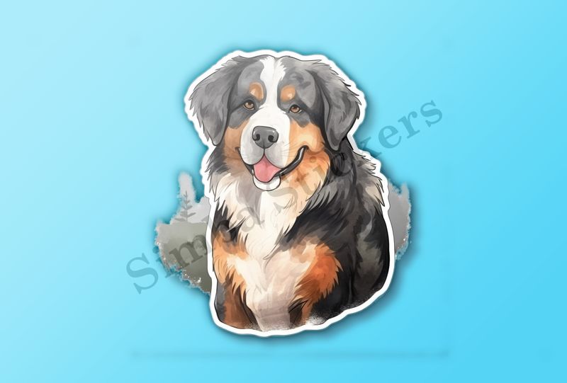 Bernase Mountain dog, watercolour
