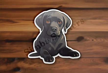 Black labrador puppy dog 