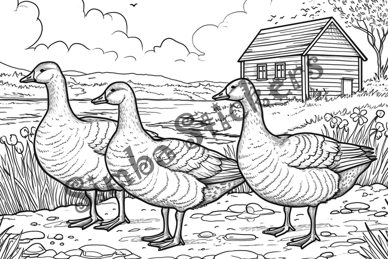 Colouring pages, bundle of geese, multiple, 10 images