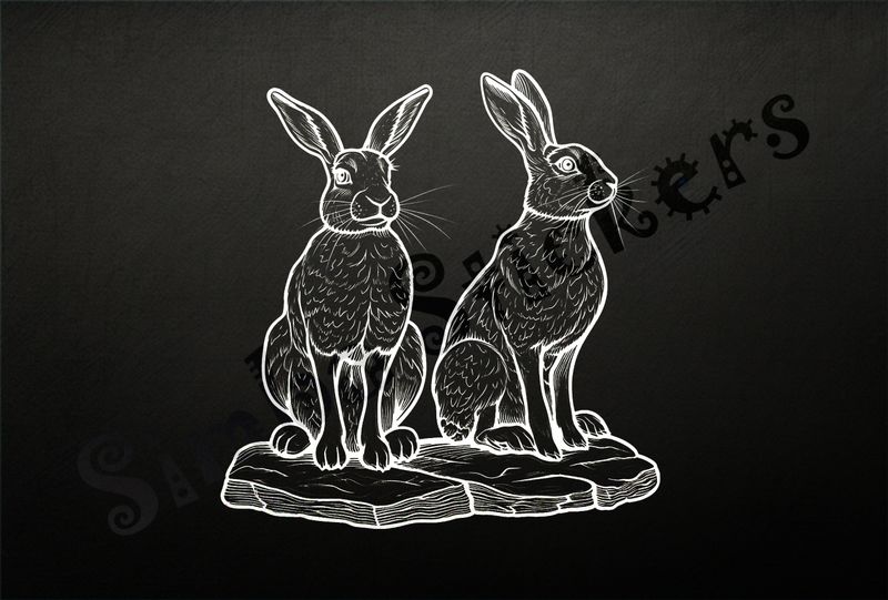 Hares standing on rocks, outline art