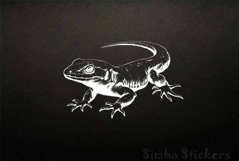 Lizard side-glancing on all fours, outline art