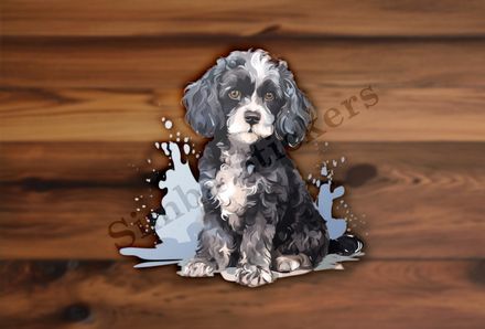 Black and white Cookapoo dog, watercolour