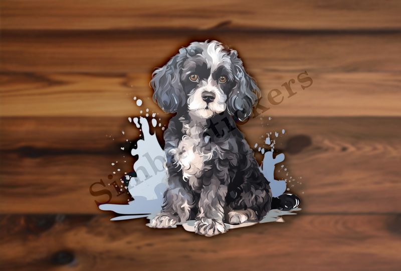 Black and white Cookapoo dog, watercolour