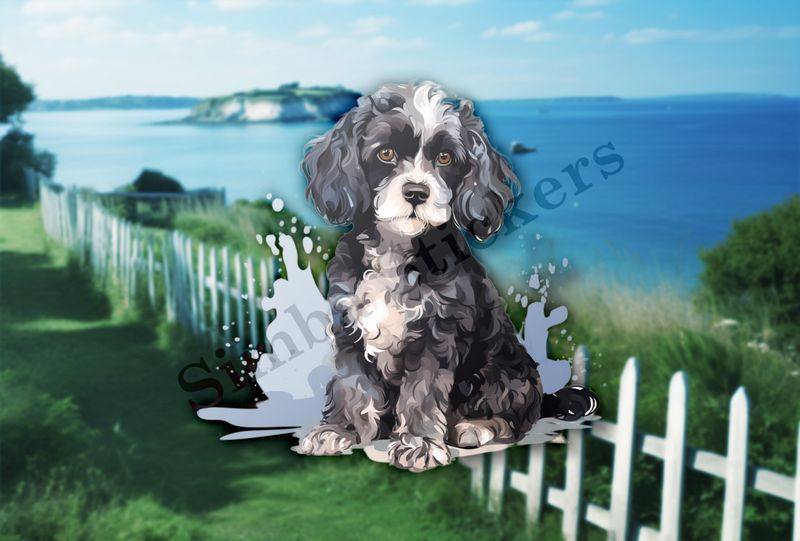 Black and white Cookapoo dog, watercolour
