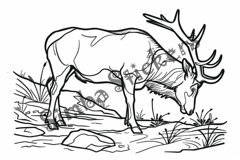 Colouring pages, bundle of elks, 10 images