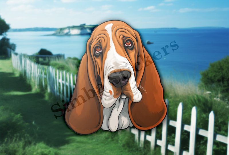 Basset Hound dog