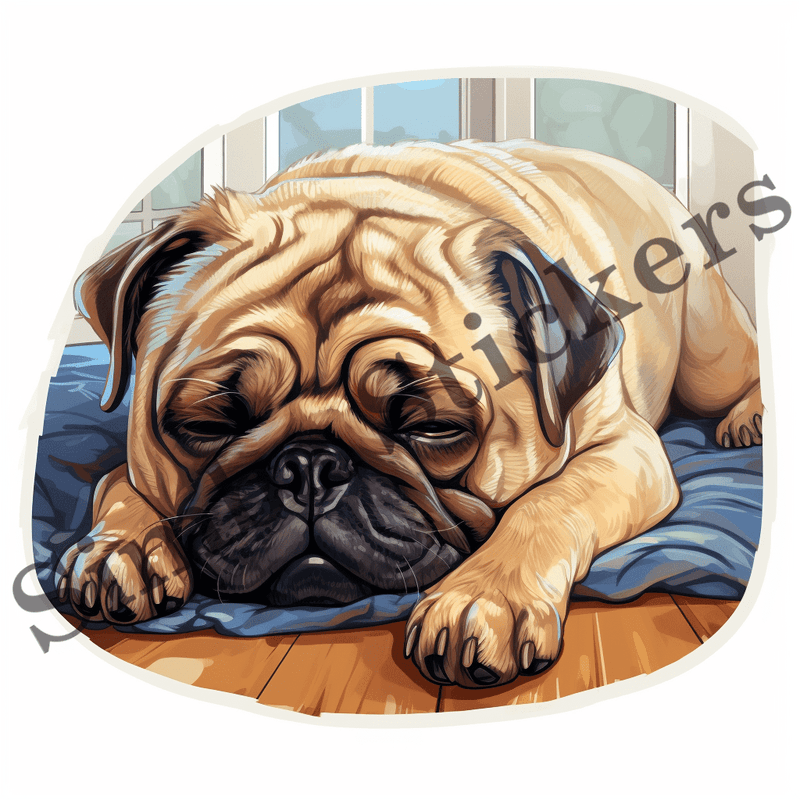 Pug dogs sleeping, image set, 10 images