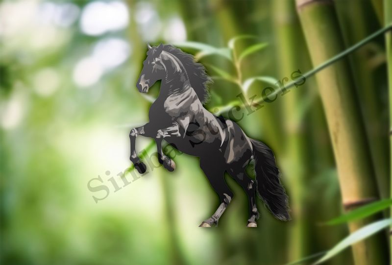 Black horse rearing