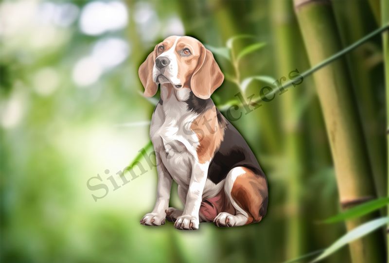 Beagle dog seated
