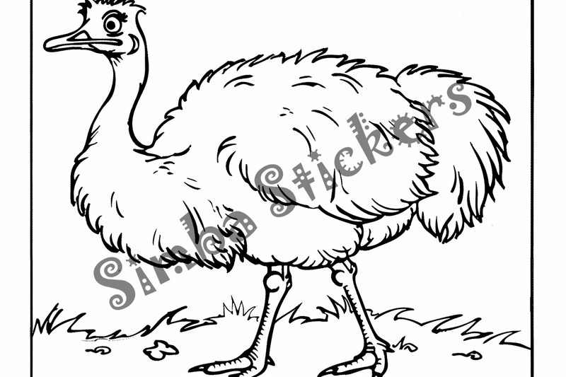 Colouring pages, bundle of ostriches, 50 images